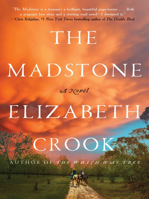 Title details for The Madstone by Elizabeth Crook - Available